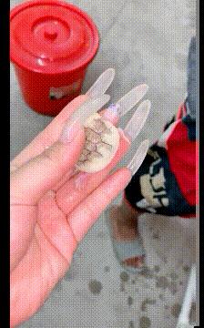 有趣又搞笑的动图,搞笑动图大杂烩