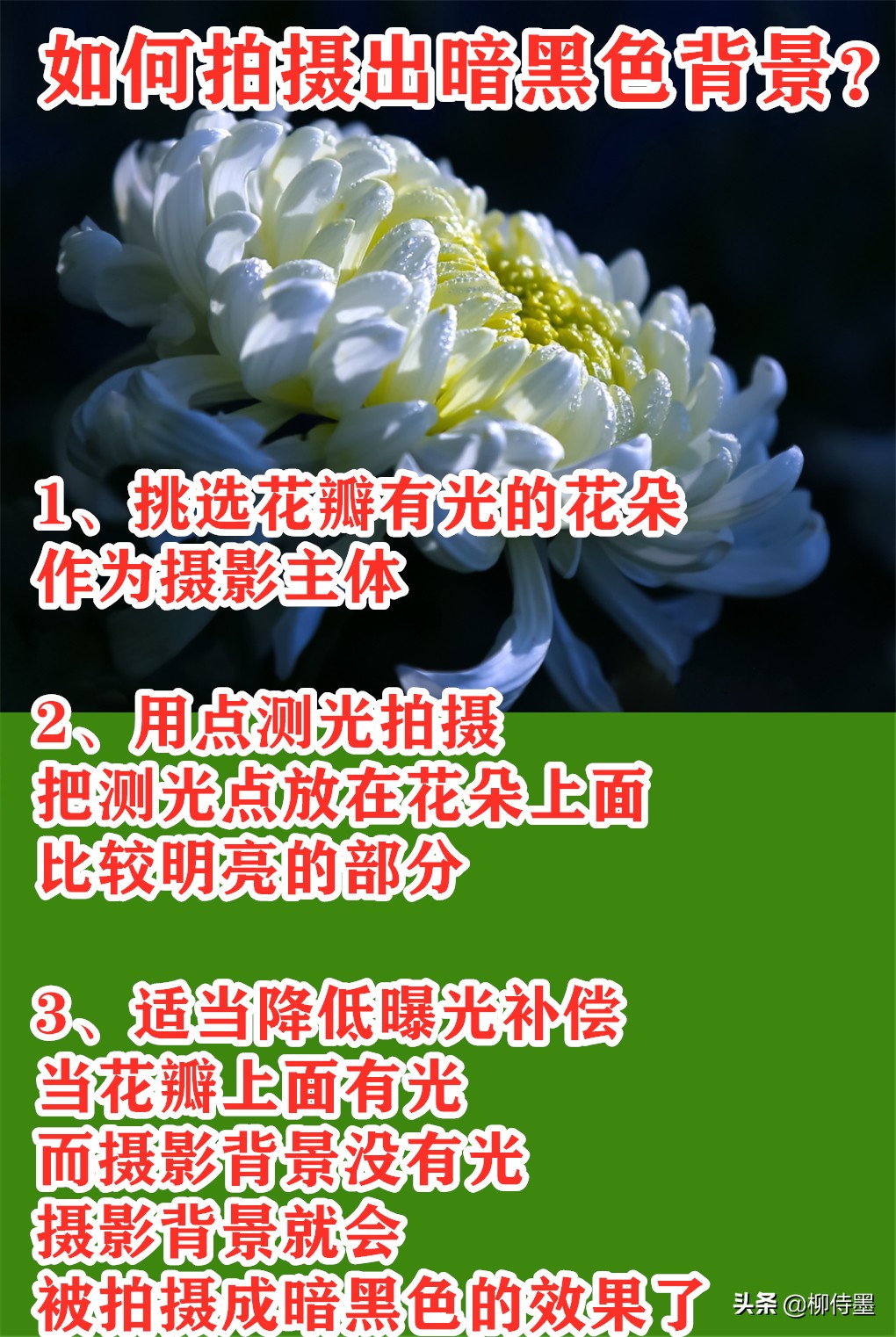 手机拍照技巧最全解析,手机拍照前先调整好哪些方面