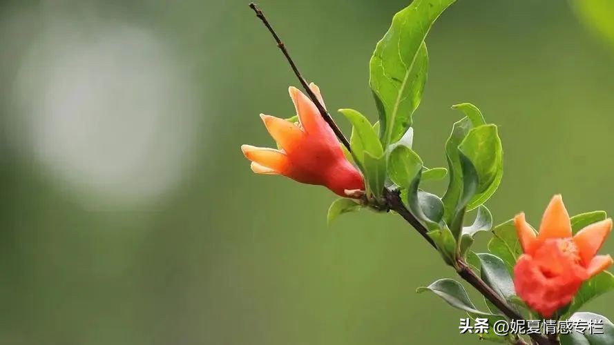 过了40岁千万不要再打工,五十岁以后一定要努力赚钱