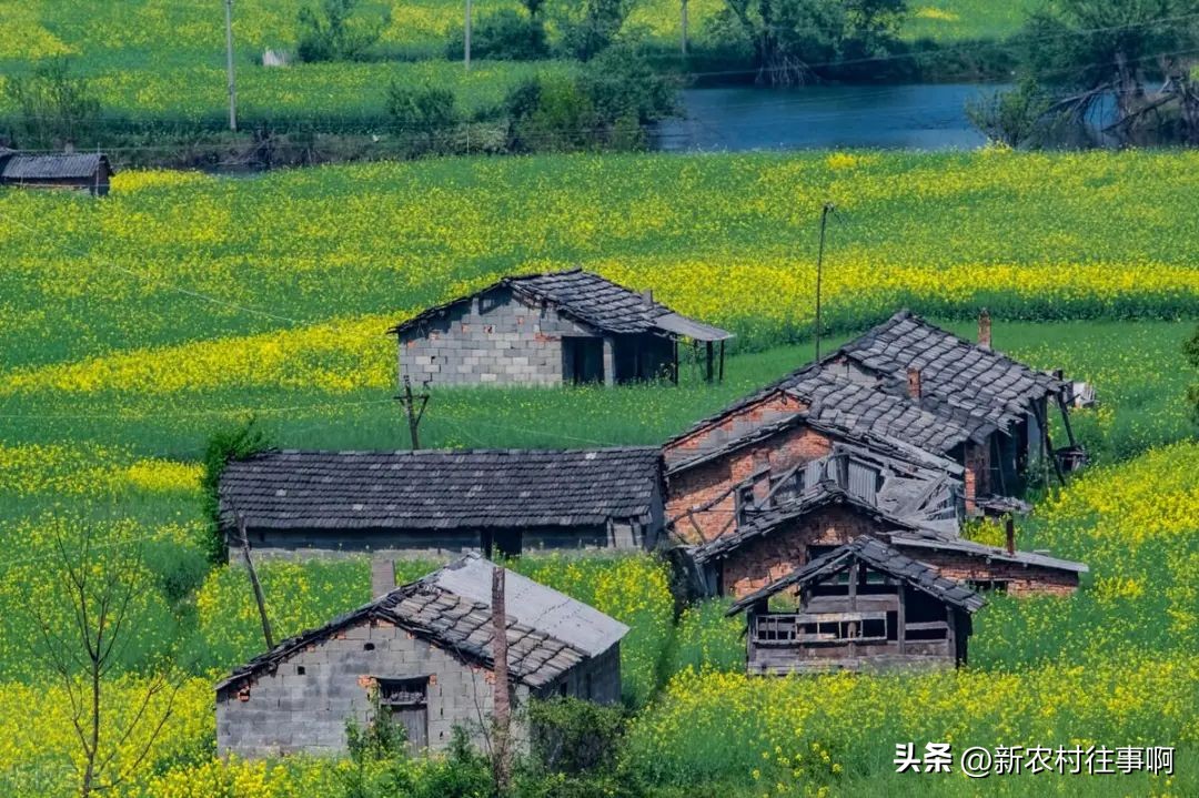 养老在城市好还是回农村老家好,老了适合回农村老家养老吗