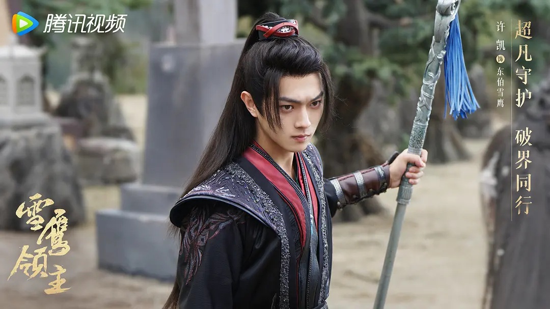 雪鹰领主好不好看,雪鹰领主真人版评价