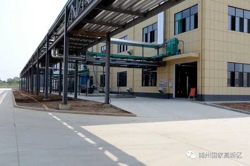 蝶变跃升五大行动,蝶变跃升