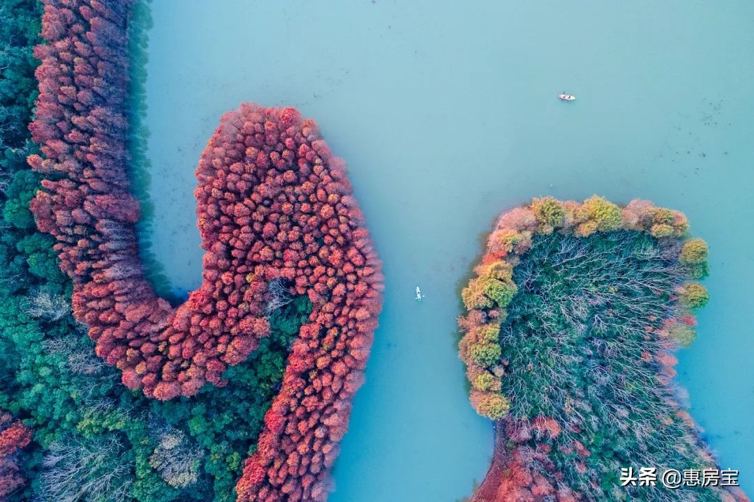 上海公园免费,上海免费公园排行