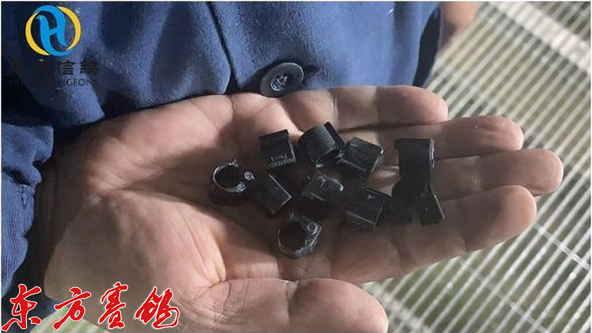 21年惠能秋棚决赛获奖鸽照片,慧能信鸽秋棚直播