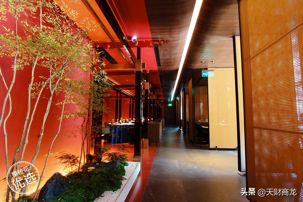 怎么设定某个产品的毛利率,如何通过餐饮财务提高毛利率