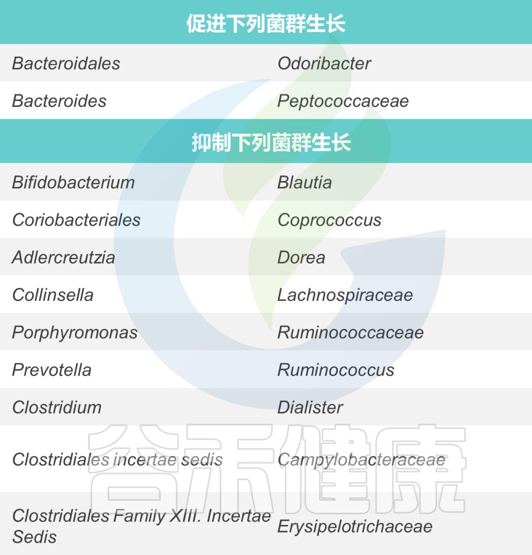 肠道菌包括哪些菌种,肠道菌群微生物种类分析
