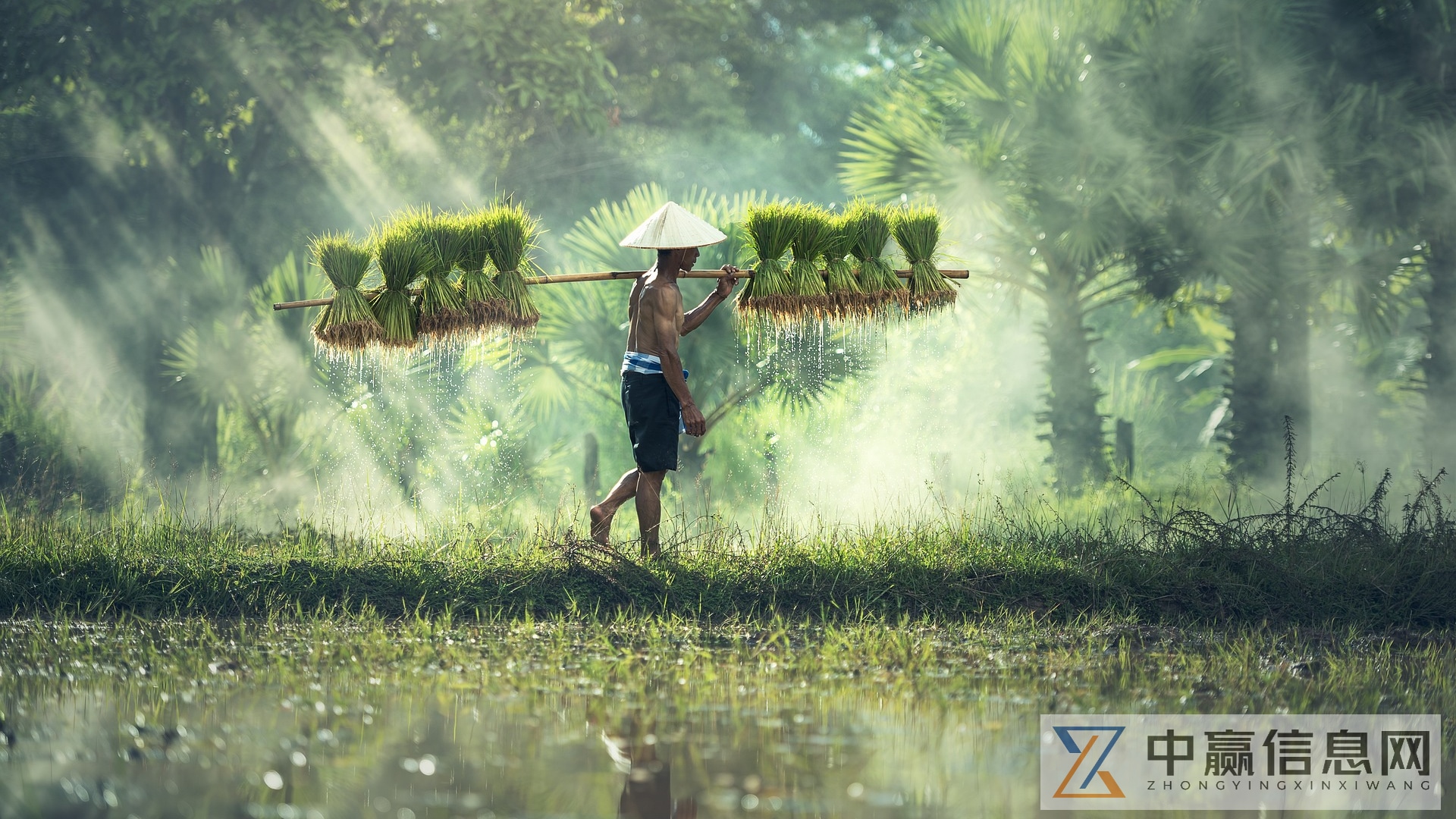 全球与中国卫星通信市场,全球投资市场环境分析报告