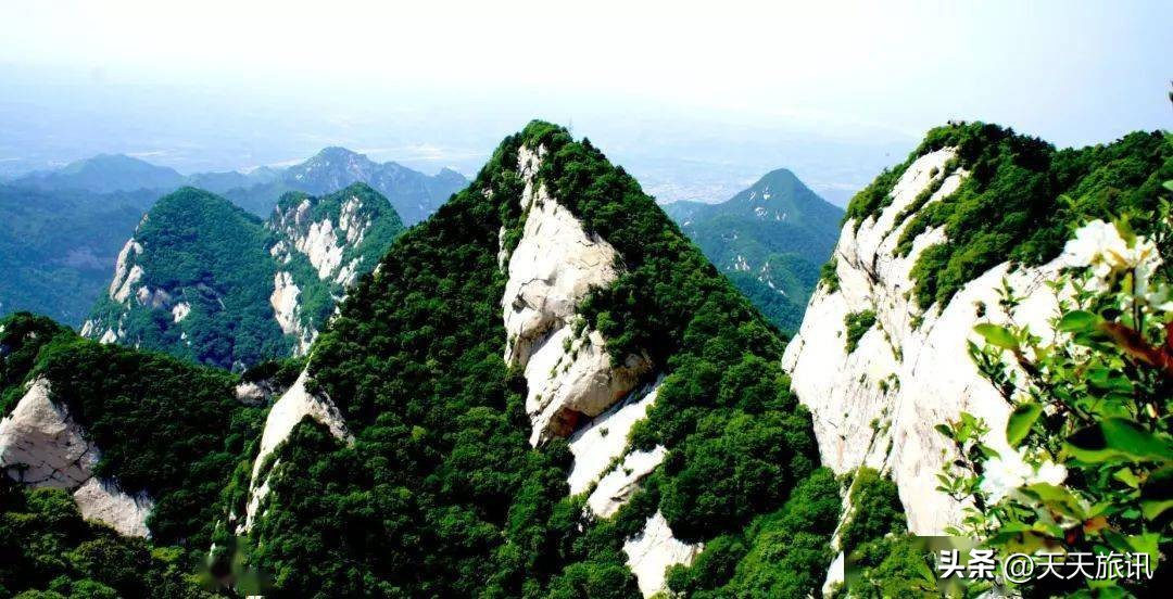 河南景点森林氧吧,河南五地入选中国天然氧吧