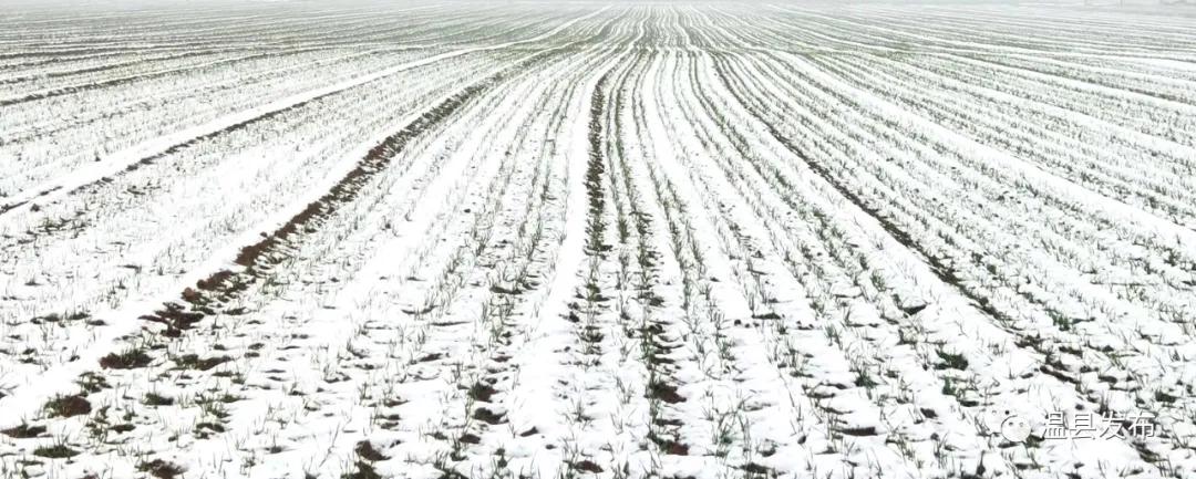 来这里邂逅一场落日余晖的浪漫,来这里邂逅柳州春天里的浪漫