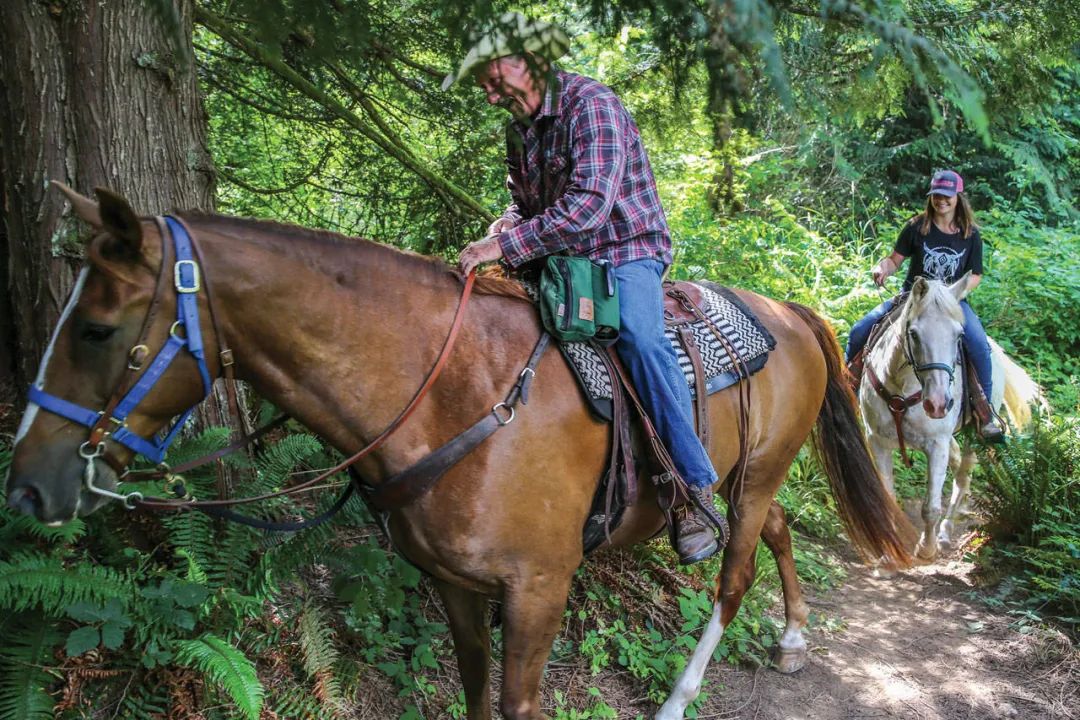 从温哥华开车到西雅图沿途美景,西雅图到温哥华沿途风景