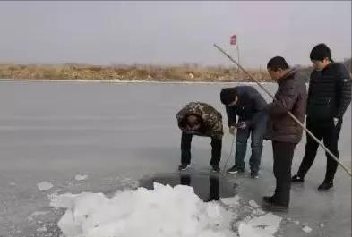 海参捕捞的最佳时间,海参进棚什么状态好