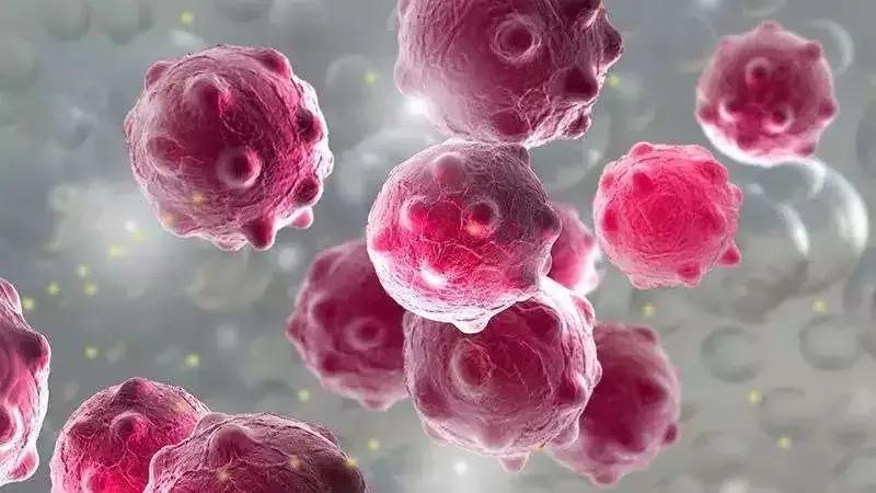 得了尿道炎会有哪些症状,尿道炎和膀胱炎的症状有什么区别