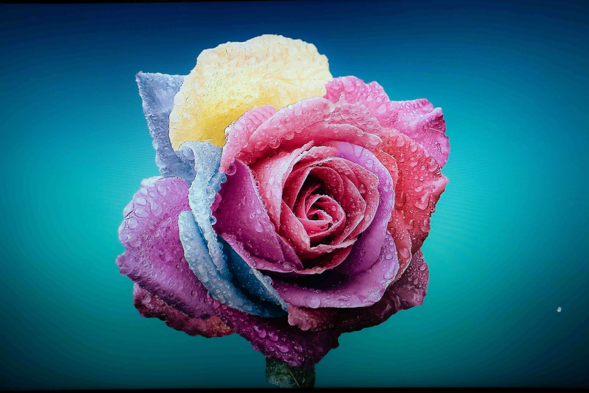 优派vx2781显示器画面设置,优派vx2480-2k-hd显示器参数