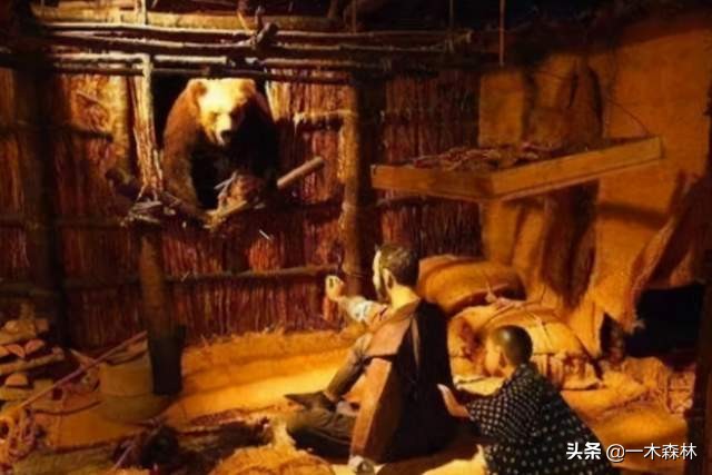 东北棕熊和俄罗斯棕熊再次打架,棕熊和棕熊打起来谁更厉害