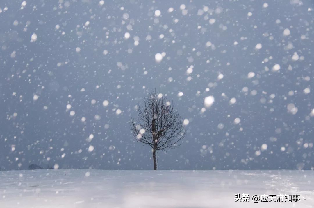 来南京不能错过的小众打卡地,南京江宁小众打卡点