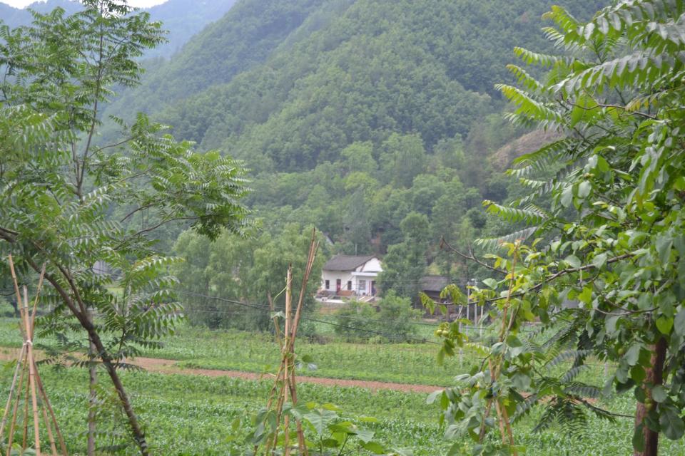 母亲再三叮嘱我回村不能开车，参加邻家婚宴后，终于明白其中奥秘