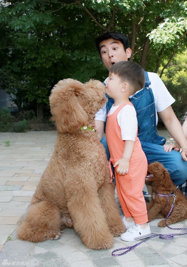 霍思燕豪门捞金,霍思燕富婆