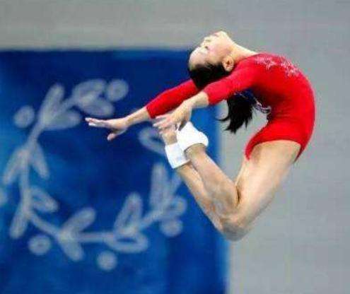 陆莉退役后现况,前体操名将陆莉现状