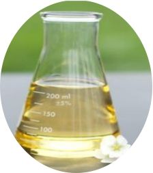 鍝堜竵瀹濊礉鎶ゅ彂鍠烽浘娴嬭瘎,鍝堜竵瀹濊礉鍎跨鎶ゅ彂鍠烽浘