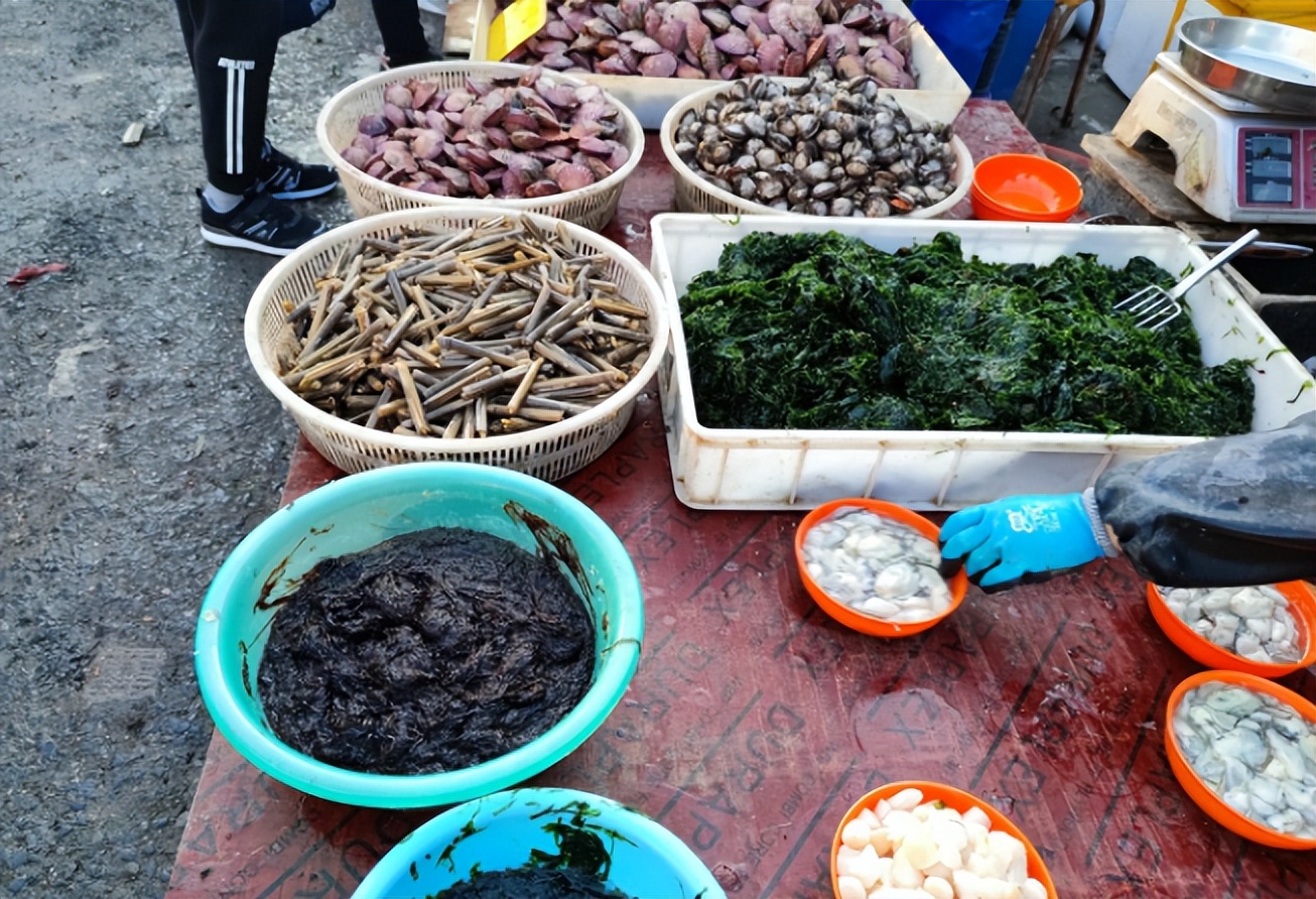 五月份什么海鲜上市,5月份什么海鲜比较多