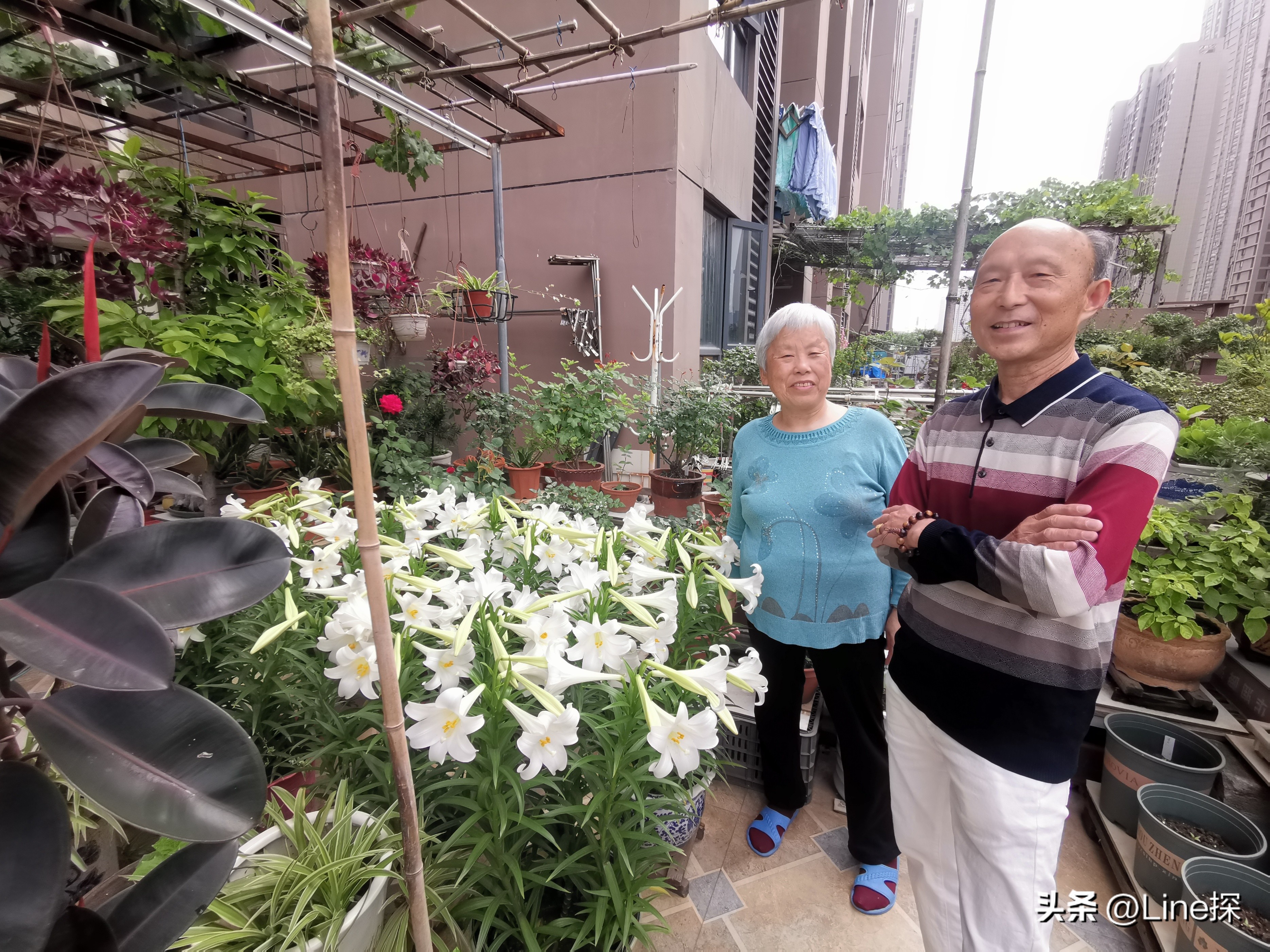 养花名人王海生：人生需要知足常乐