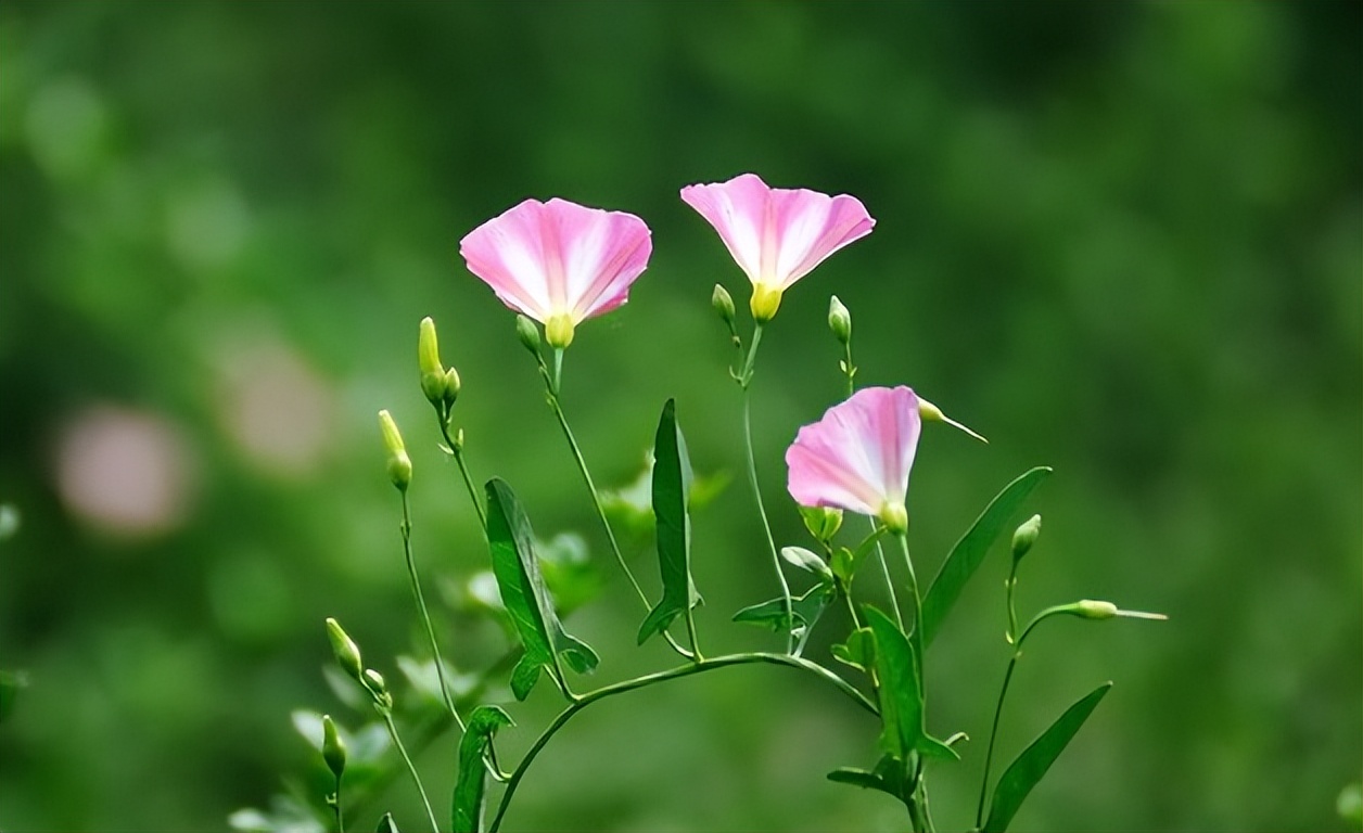 2023年努力赚钱不要浪费时间,2023年不要浪费赚钱的时间