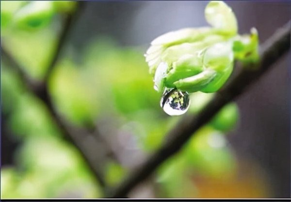 岁月漫长抵不过热情澎湃,岁月漫长仍值得等待