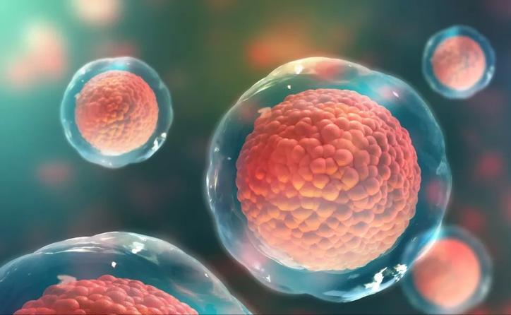 腰椎退行性变骨质疏松怎么办,骨质疏松腰椎症状