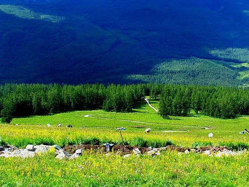 长白山皑皑雪山,长白山高寒