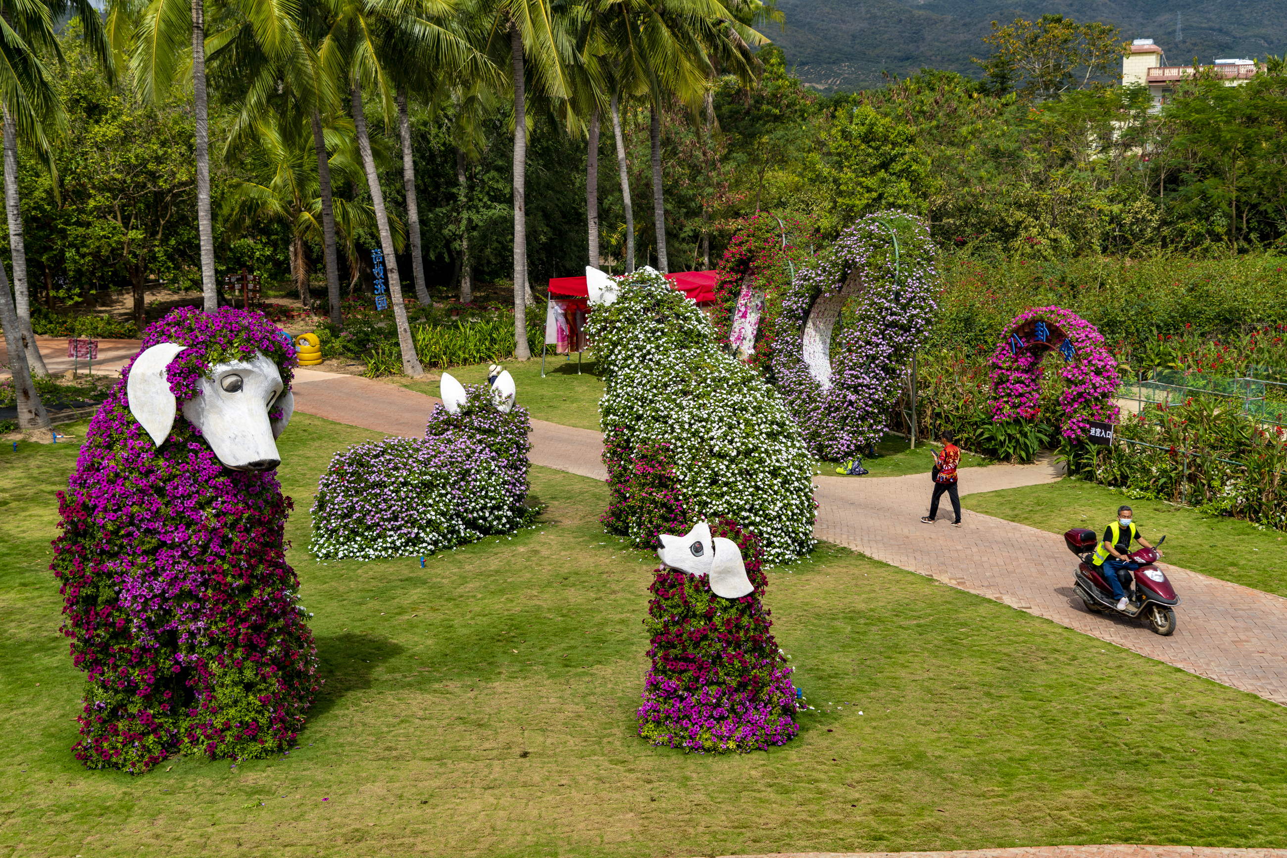 三亚天行森林公园门票,三亚天行森林公园旅游攻略