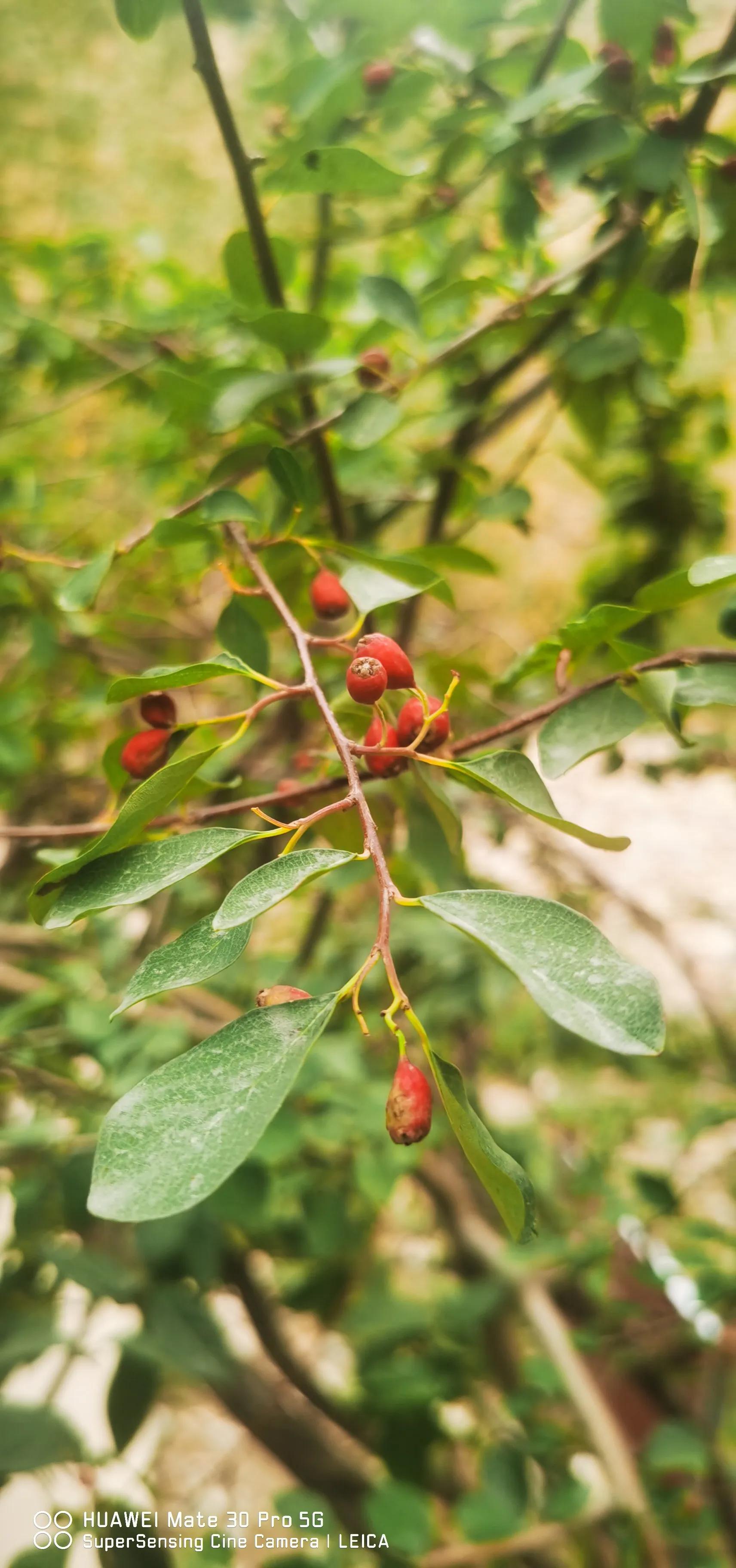 银川我来了视频,宁夏我来了完整视频
