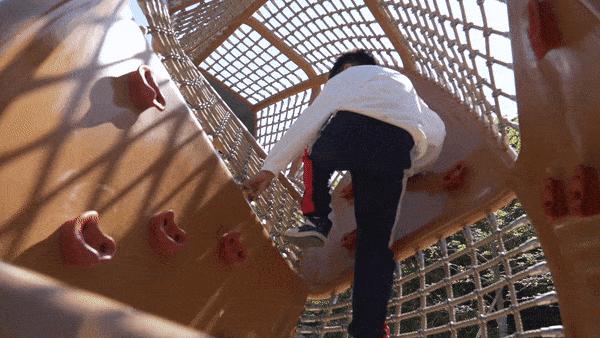 山海之界，一座乡野的文化探索乐园｜东海文化探索乐园