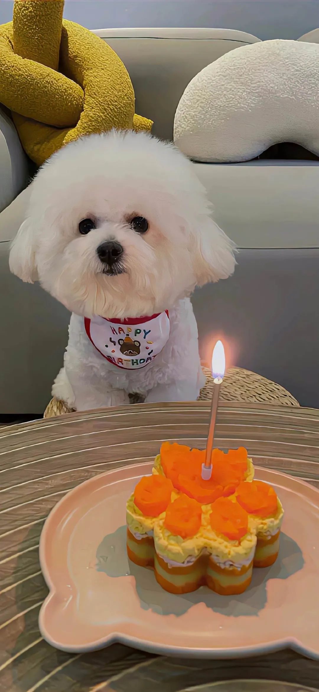 高清全屏壁纸最近比较火的壁纸,刘诗诗壁纸高清全屏无水印壁纸