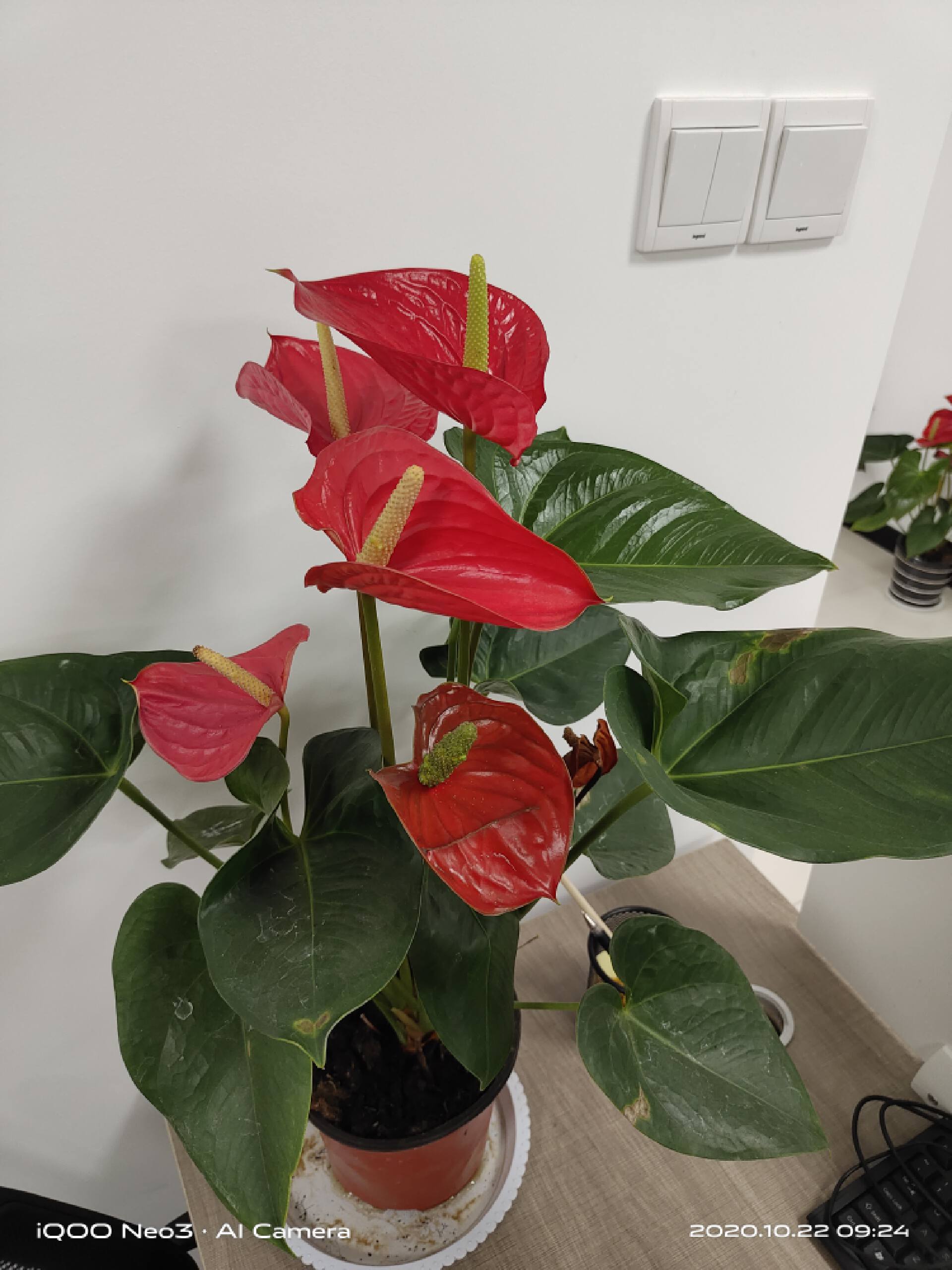 小米高端旗舰小米10上手体验,小米10至尊纪念版小白测评定制版