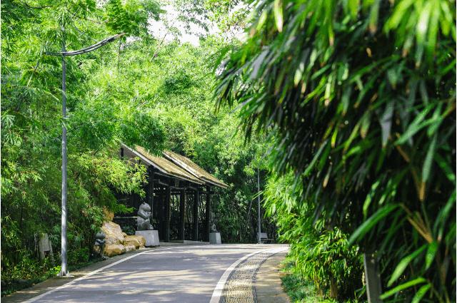 深圳最美公园是什么样子的,深圳市最美公园图片欣赏