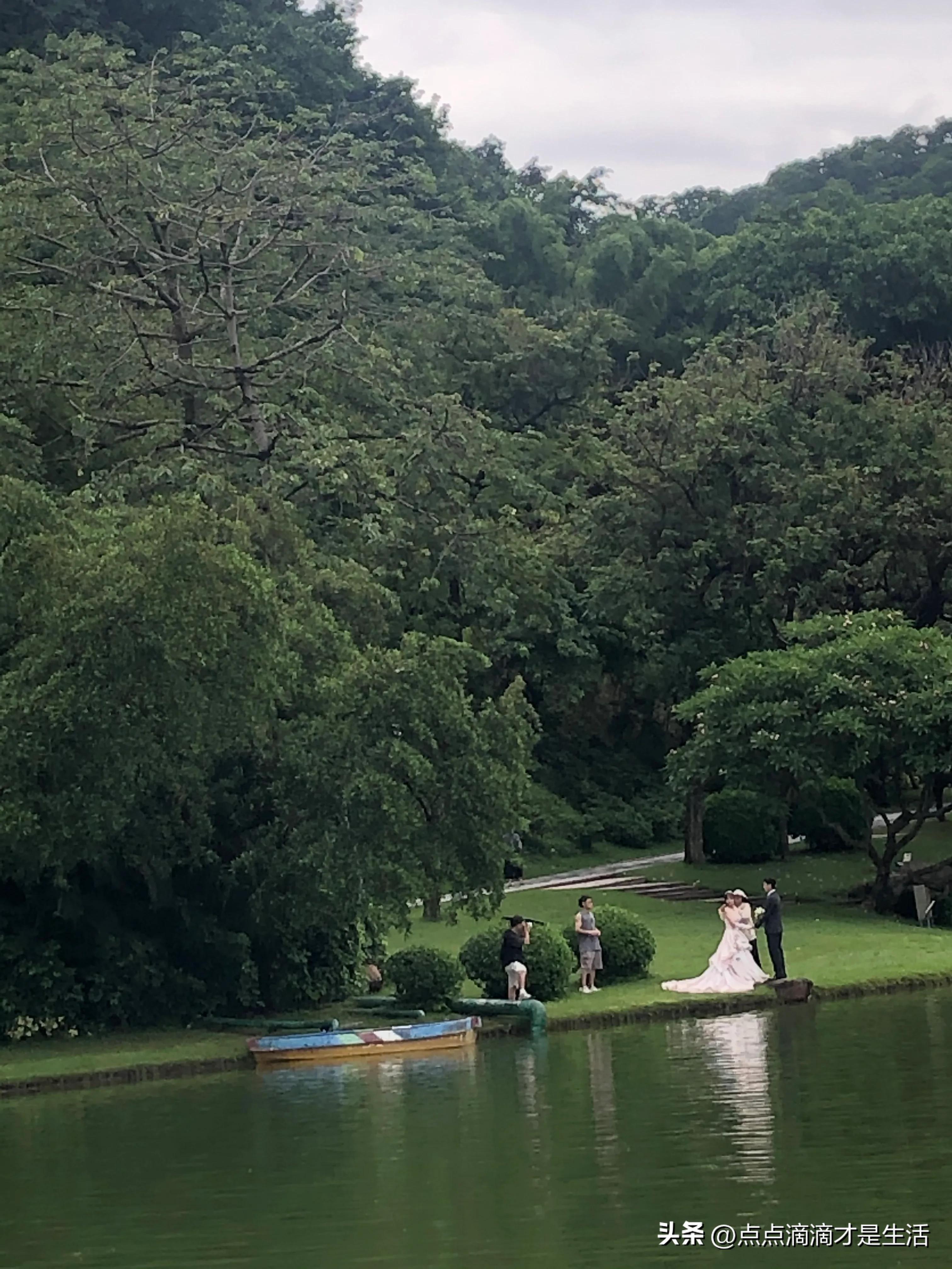 广州云台最美的花园,广州白云云台花园拍照