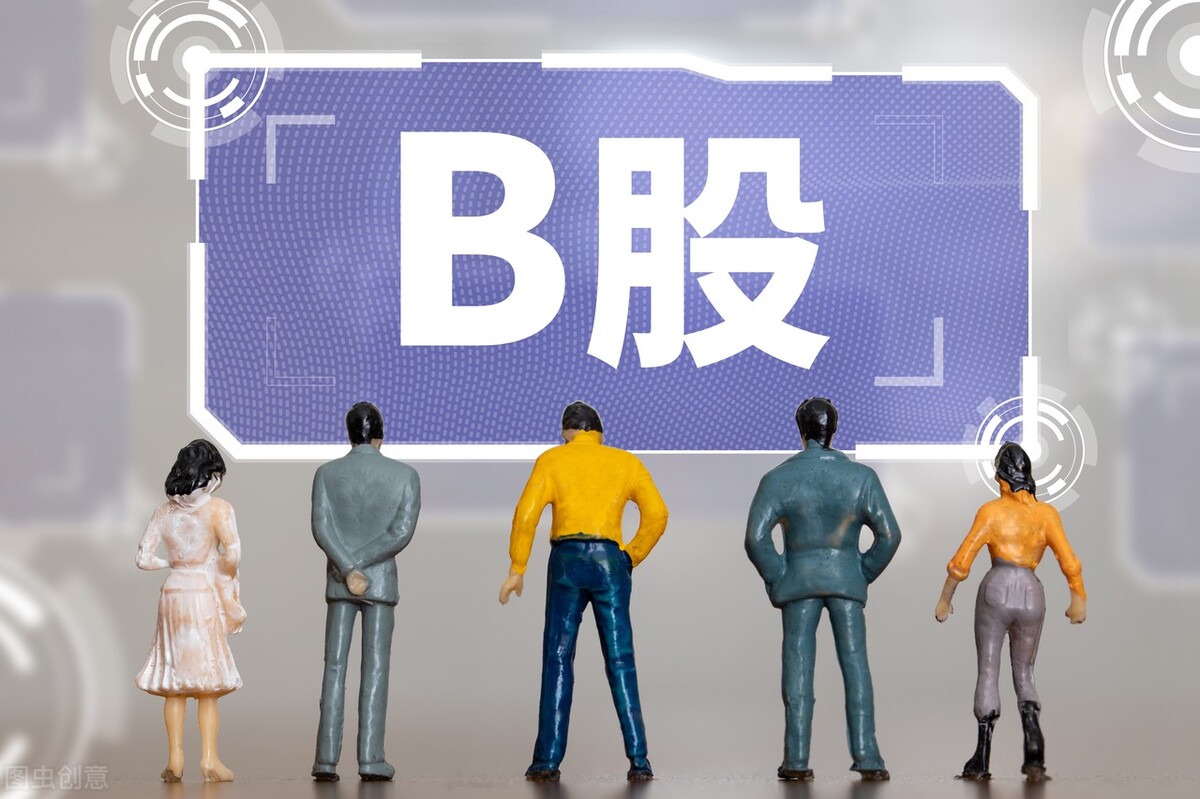 B股上市要求有哪些,市盈率最低的b股