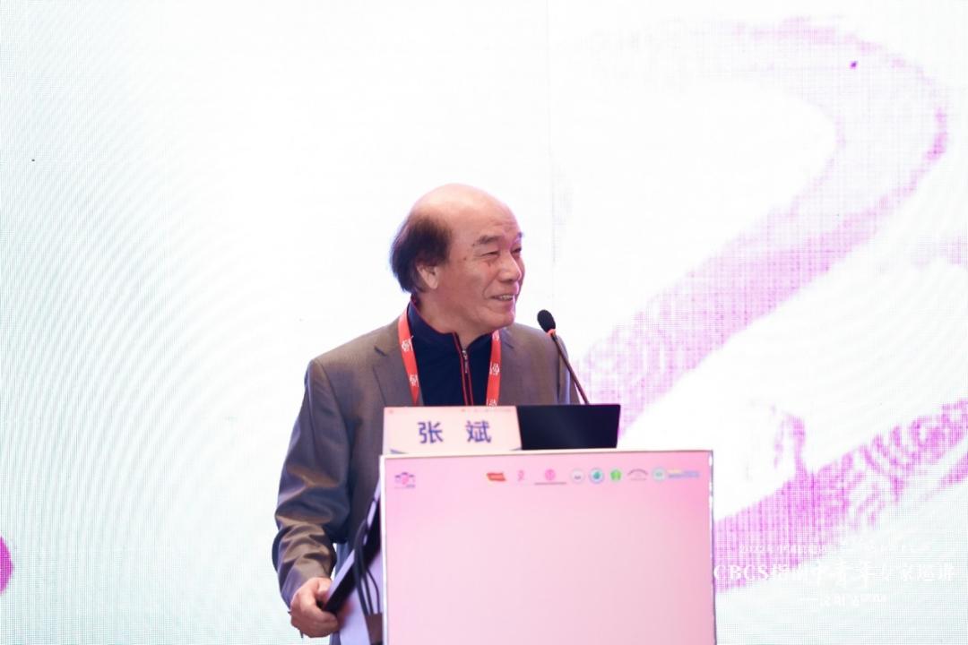 第十届燕赵乳腺癌论坛,南京第九届乳腺癌高峰论坛