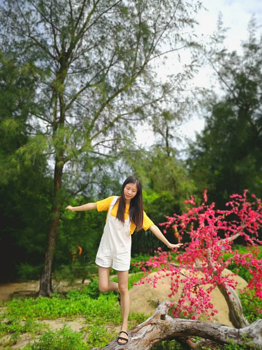 台山那琴半岛地质公园景色,台山地质公园开放时间