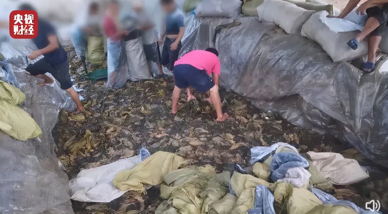 老坛酸菜是抠脚大汉才出来的吗,美女用脚做老坛酸菜