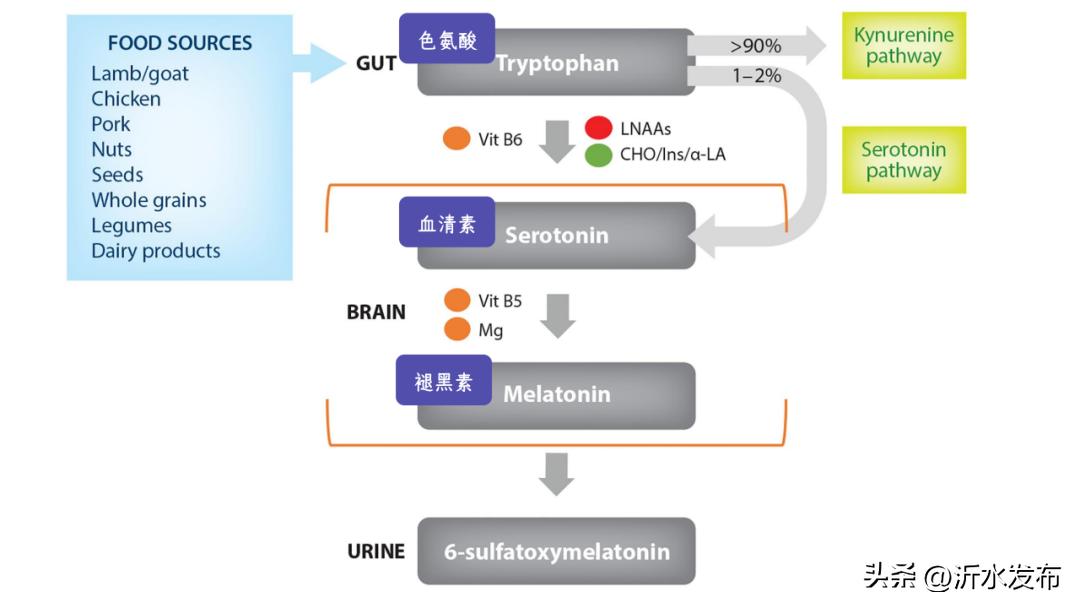 想要高质量睡眠试试这10种食物,四种食物让你一觉睡到大天亮