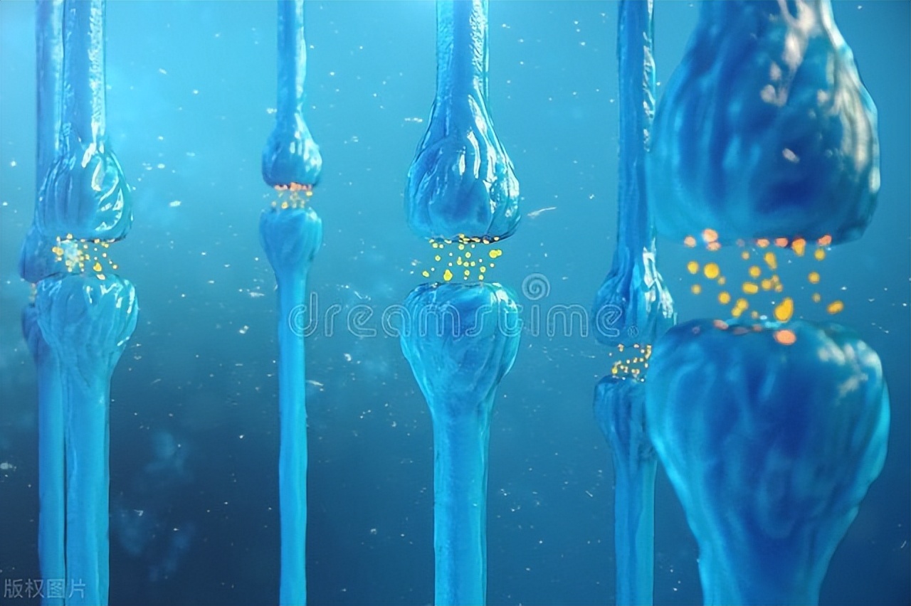 植物神经紊乱的10大症状,植物神经紊乱和心脏病症状的区别