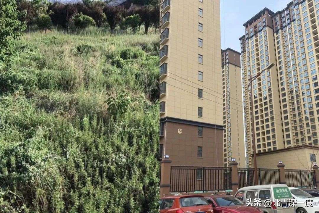 男孩被父母遗弃,男孩被妈妈遗弃多年后回来报仇