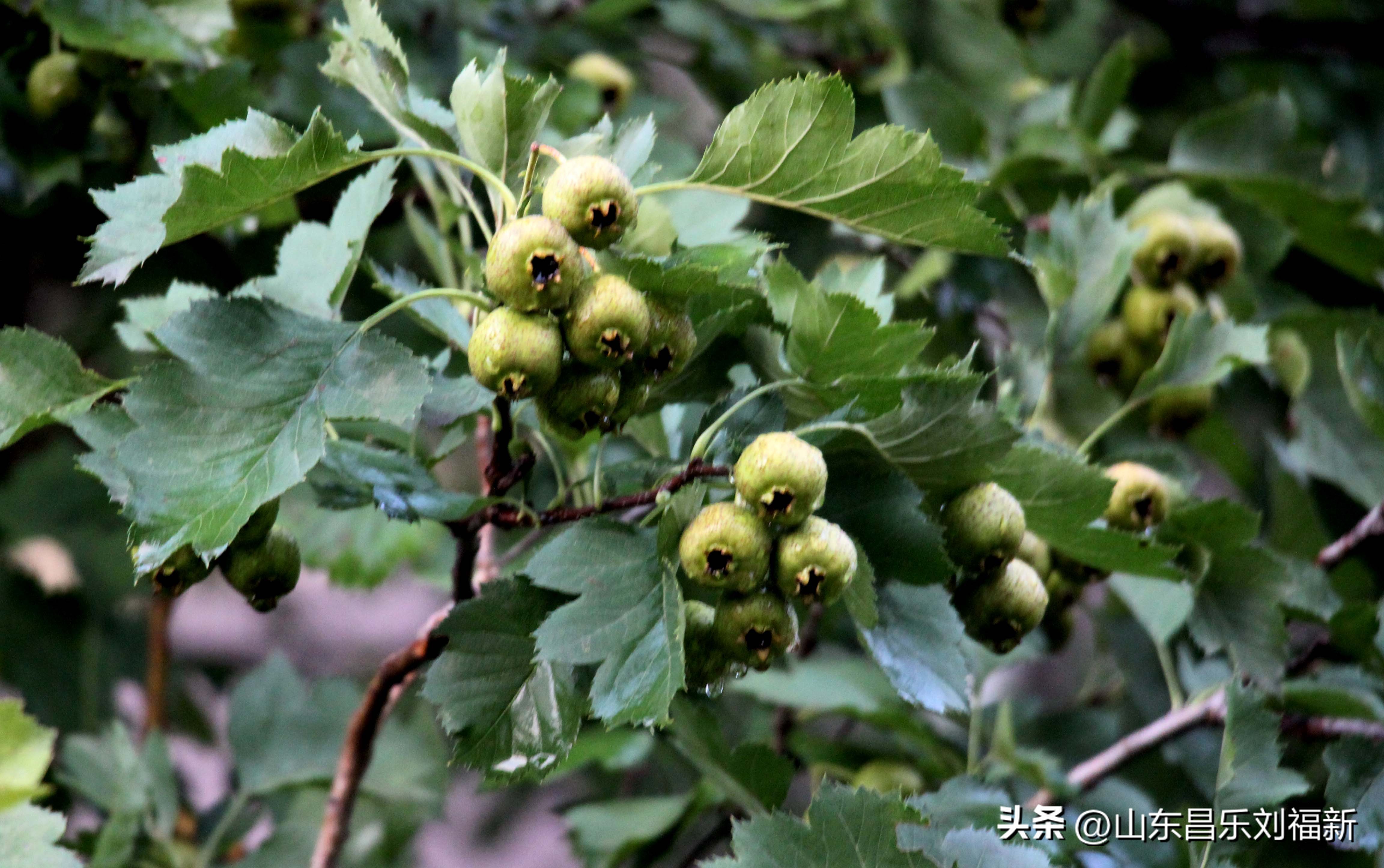 2023年8月20日有雨吗,2021年8月19日有没有下雨