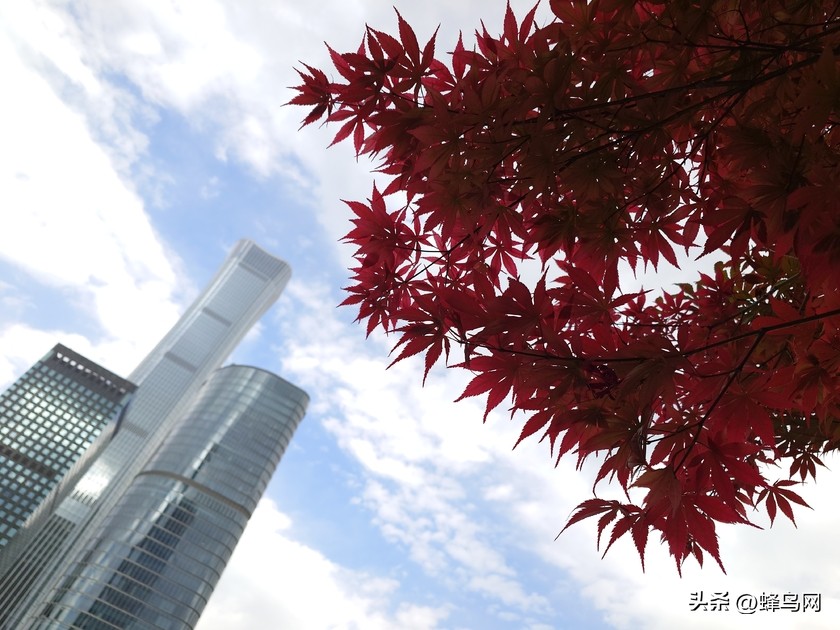 索尼xperia1v深度评测视频,索尼xperia1v影像评测