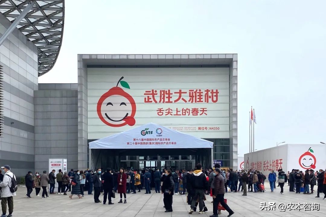 贾枭：农产品最重要的广告是包装