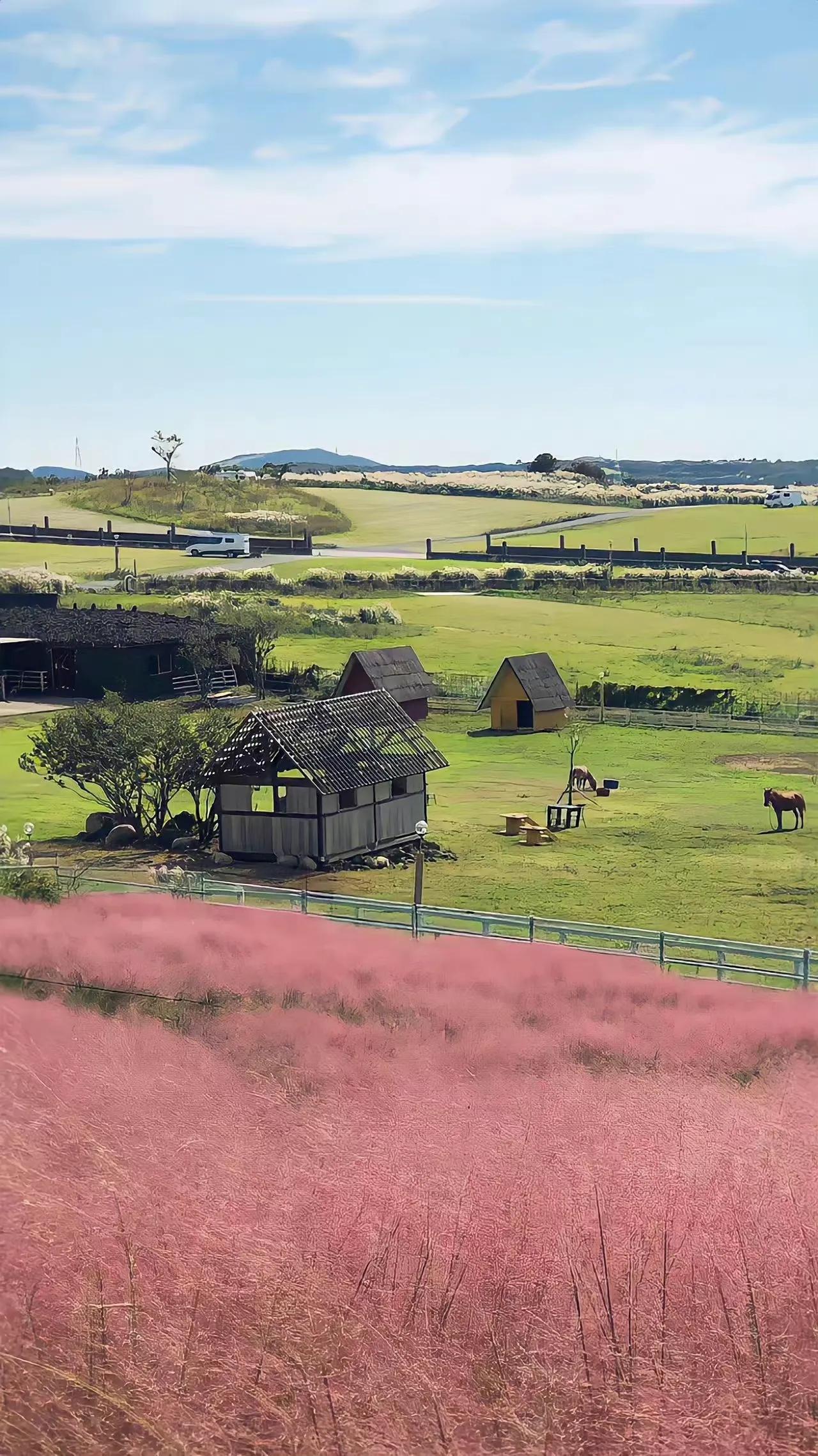 适合夏天的手机壁纸高清,纯颜色高清手机壁纸