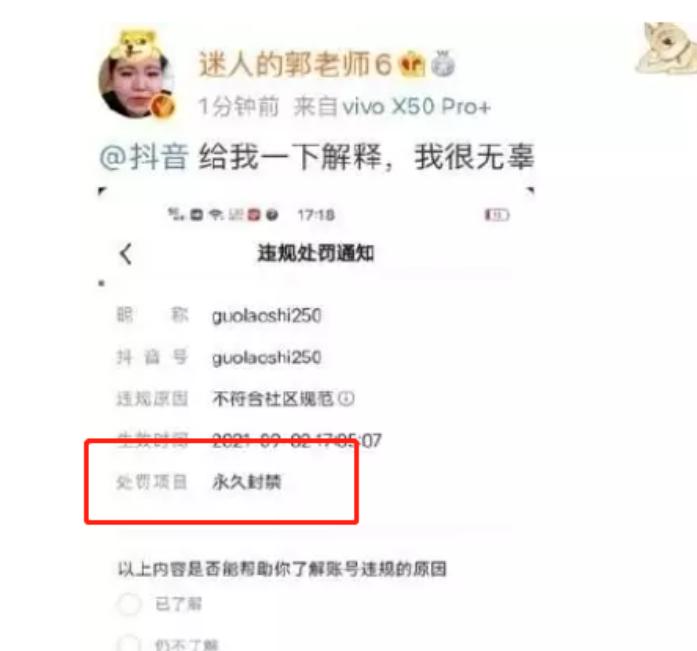 央视点名批评的8大网红,央视点名网红