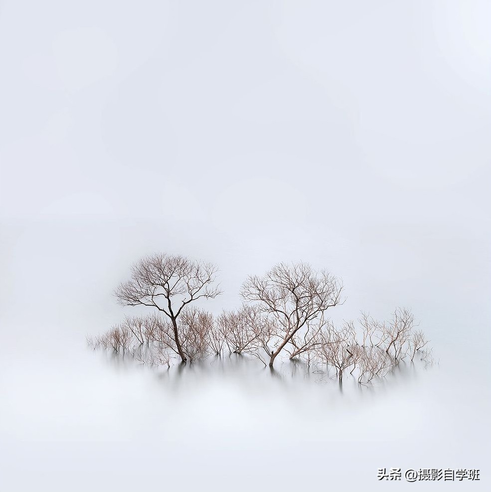 手机摄影实用摄影技巧,手机摄影最新拍摄小技巧热门作品