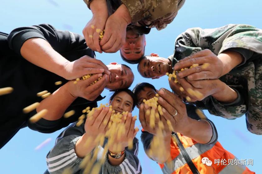 呼伦贝尔：做大生态“绿银行”托起百姓“致富梦”——深入践行习*平近**生态文明思想系列报道之六